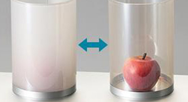 LC MAGICtm Light Control Film TOPPAN SHANGHAI MANAGEMENT CO LTD 